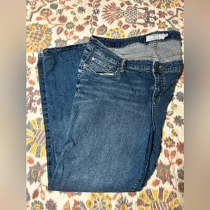 Size 22s Torrid Jeans